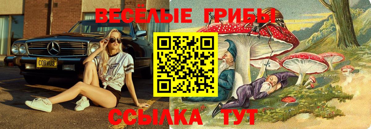 Чебоксары  Галлюциногенные грибы Psilocybine cubensis  Вход с VPN  купить  сайты  Псилоцибиновые грибы Psilocybine cubensis 